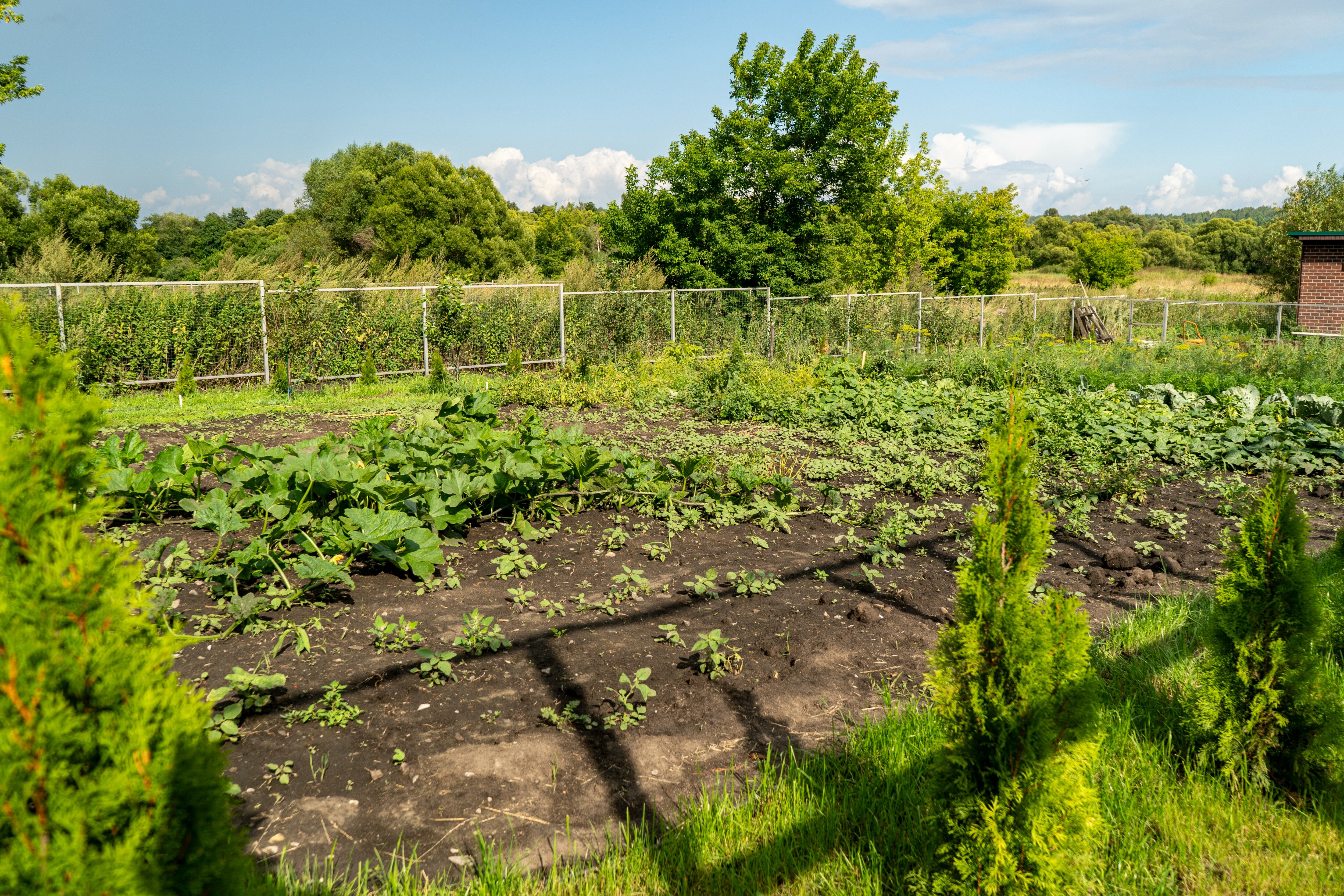 Фото Ахматовский домик