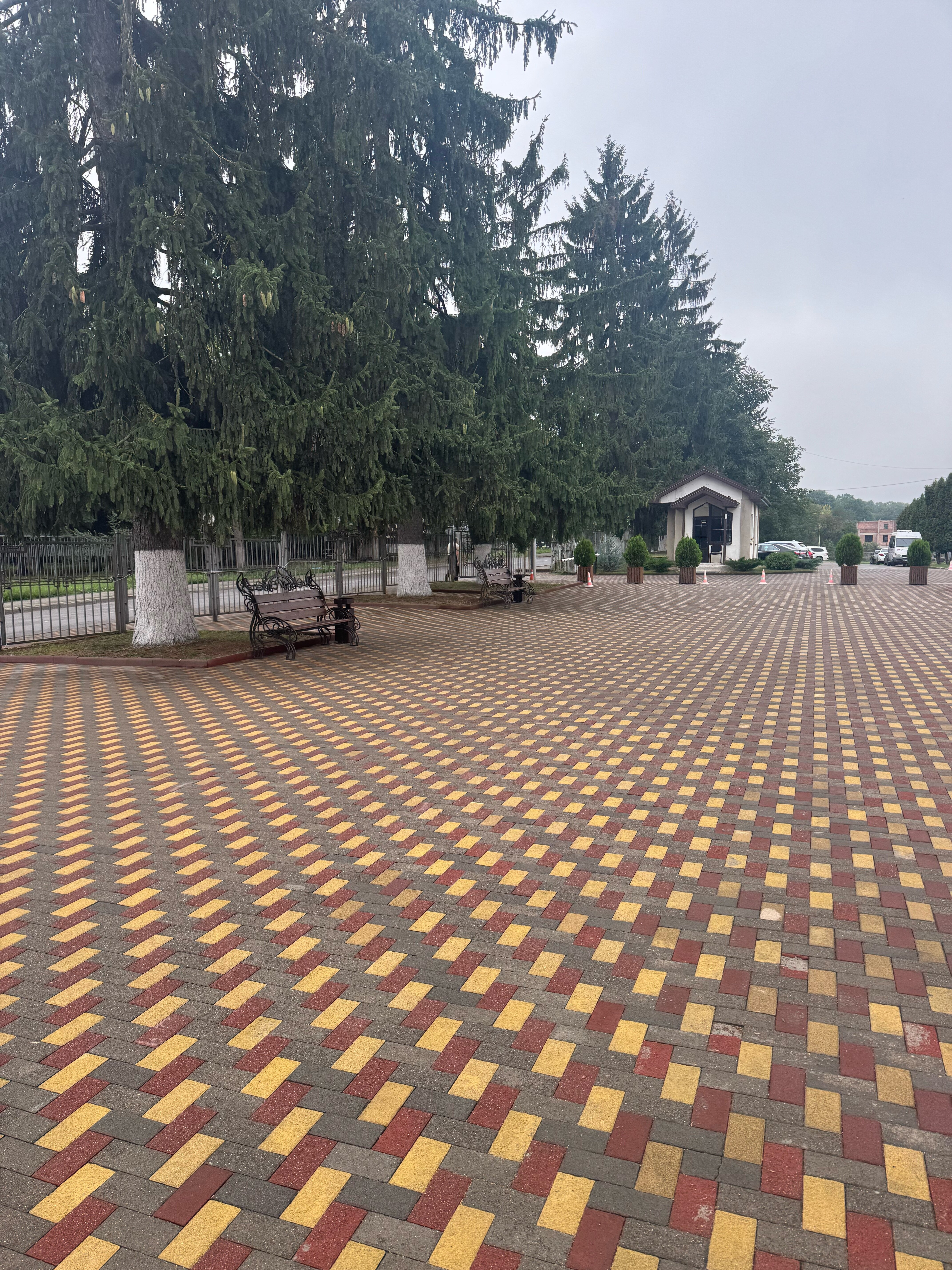 Фото Синдика