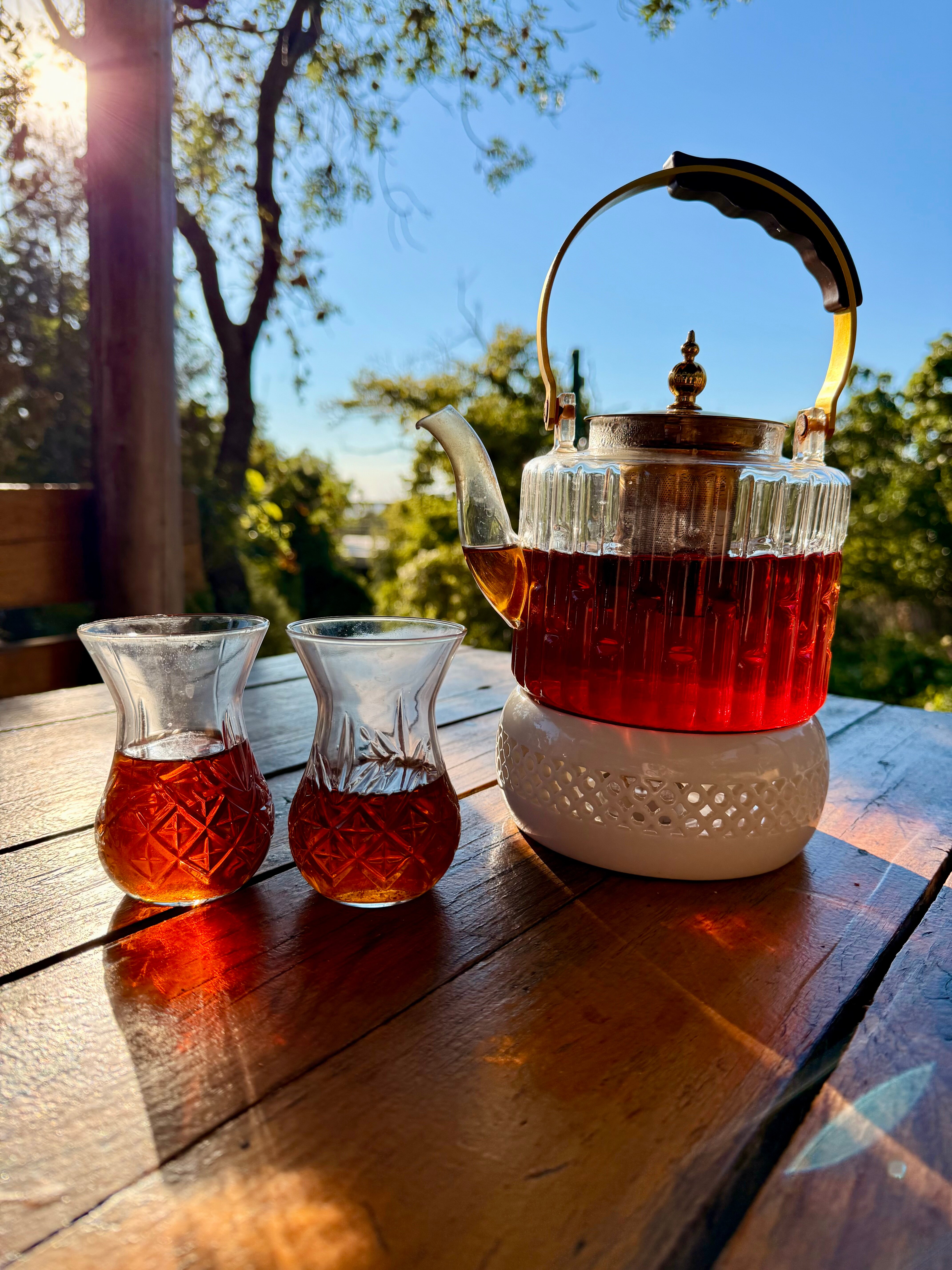 Фото Лесной дворик