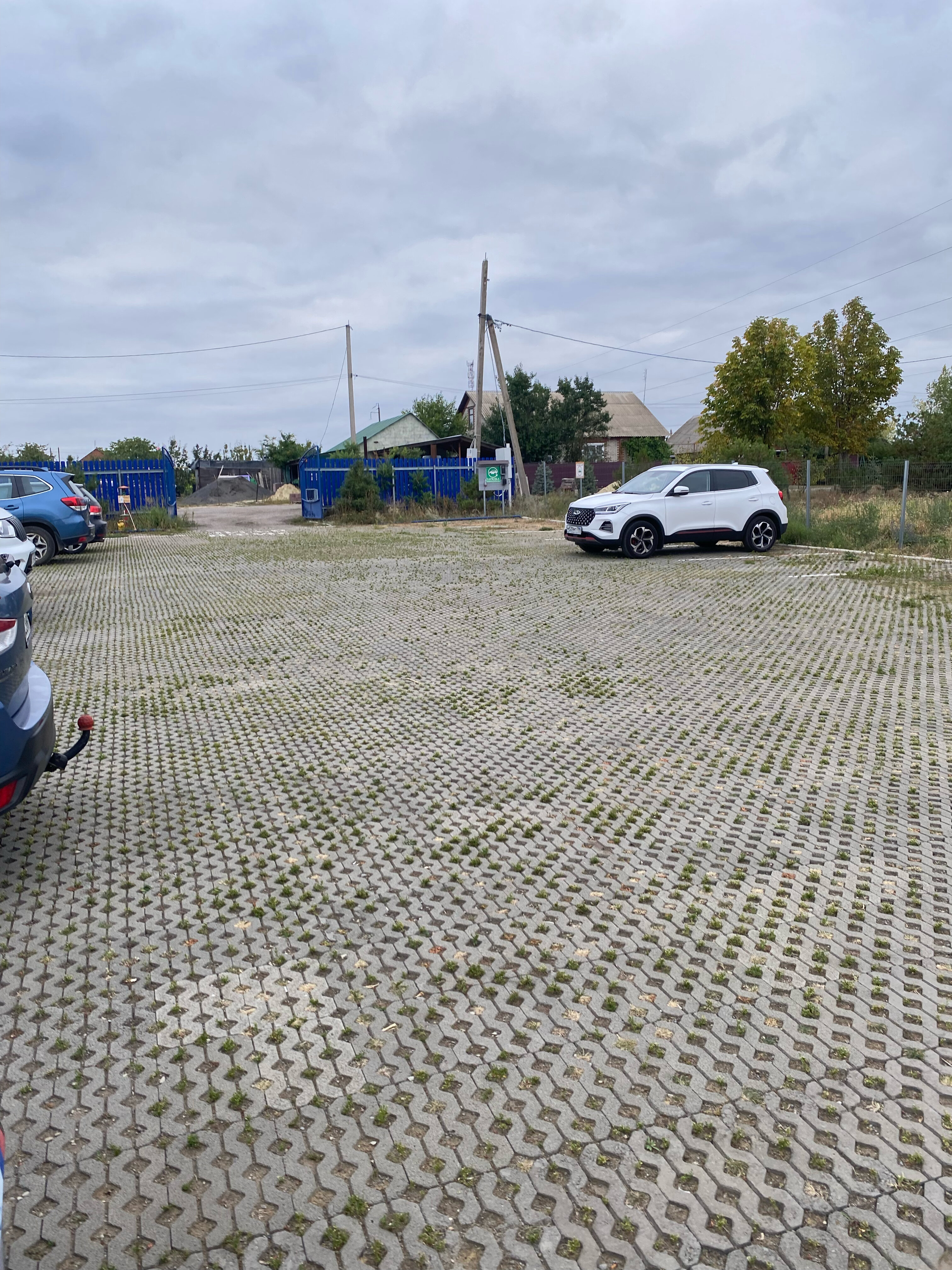 Фото Двор сурка