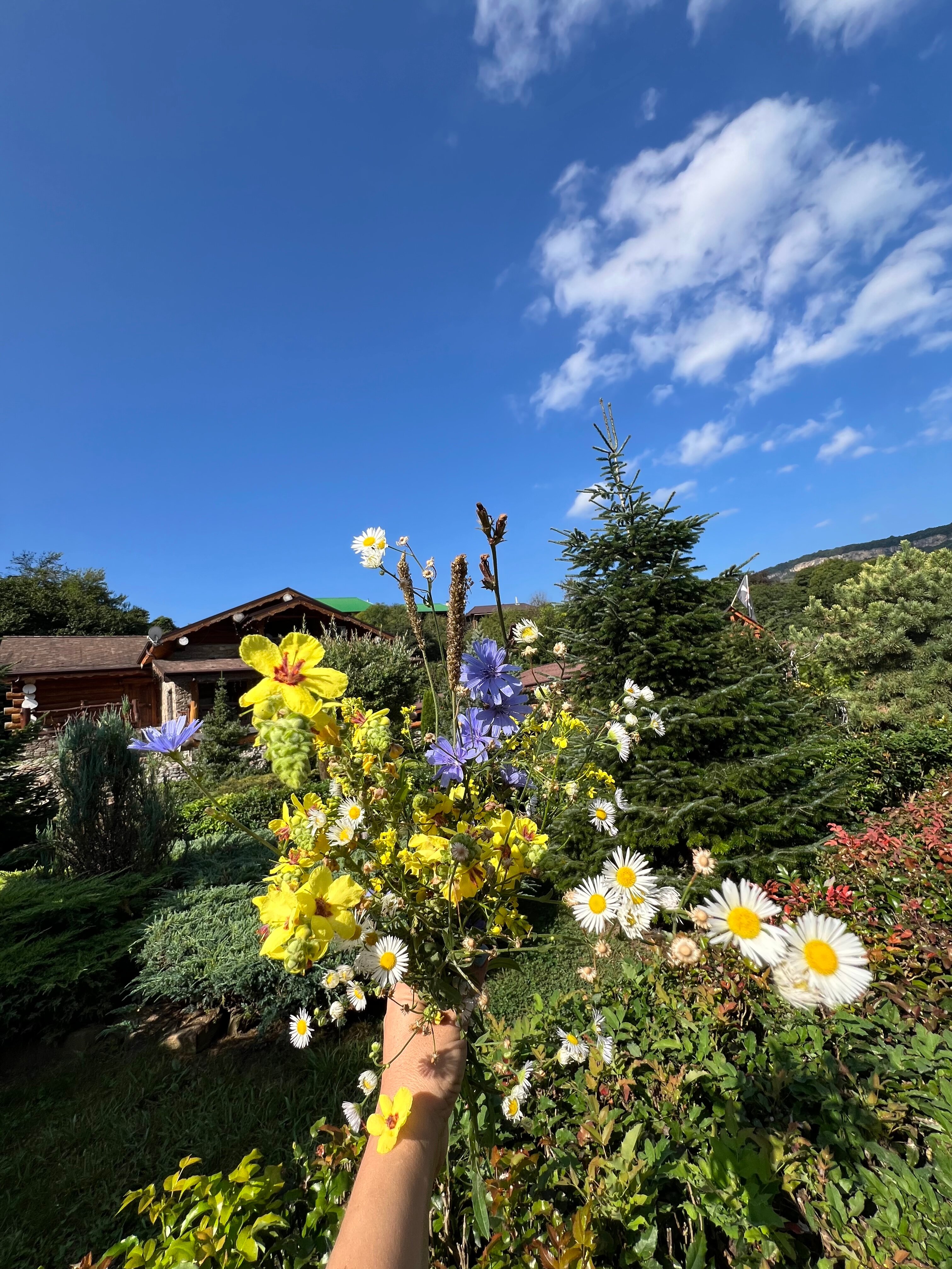 Фото Денница