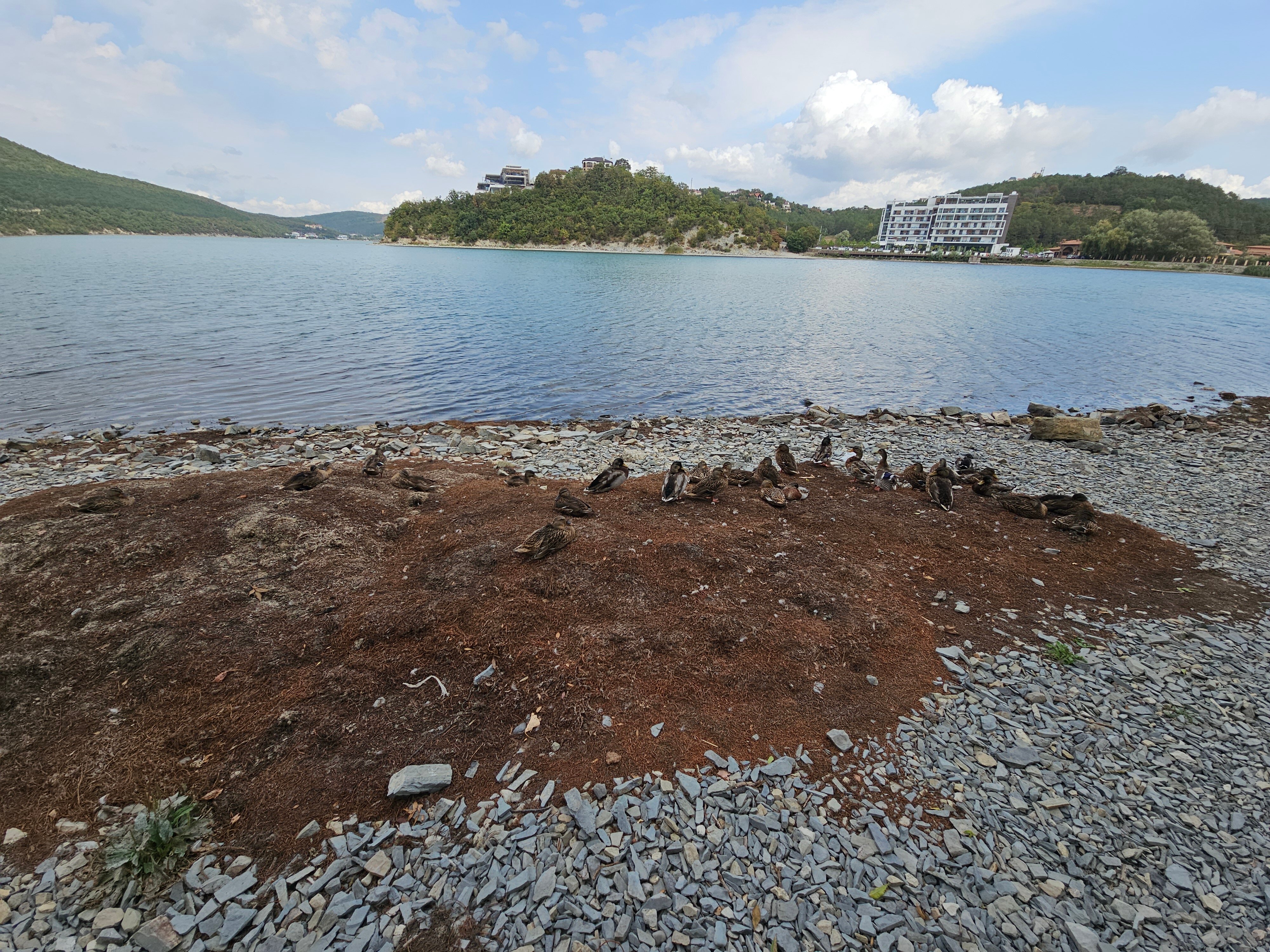 Фото Abrau Light Resort & SPA