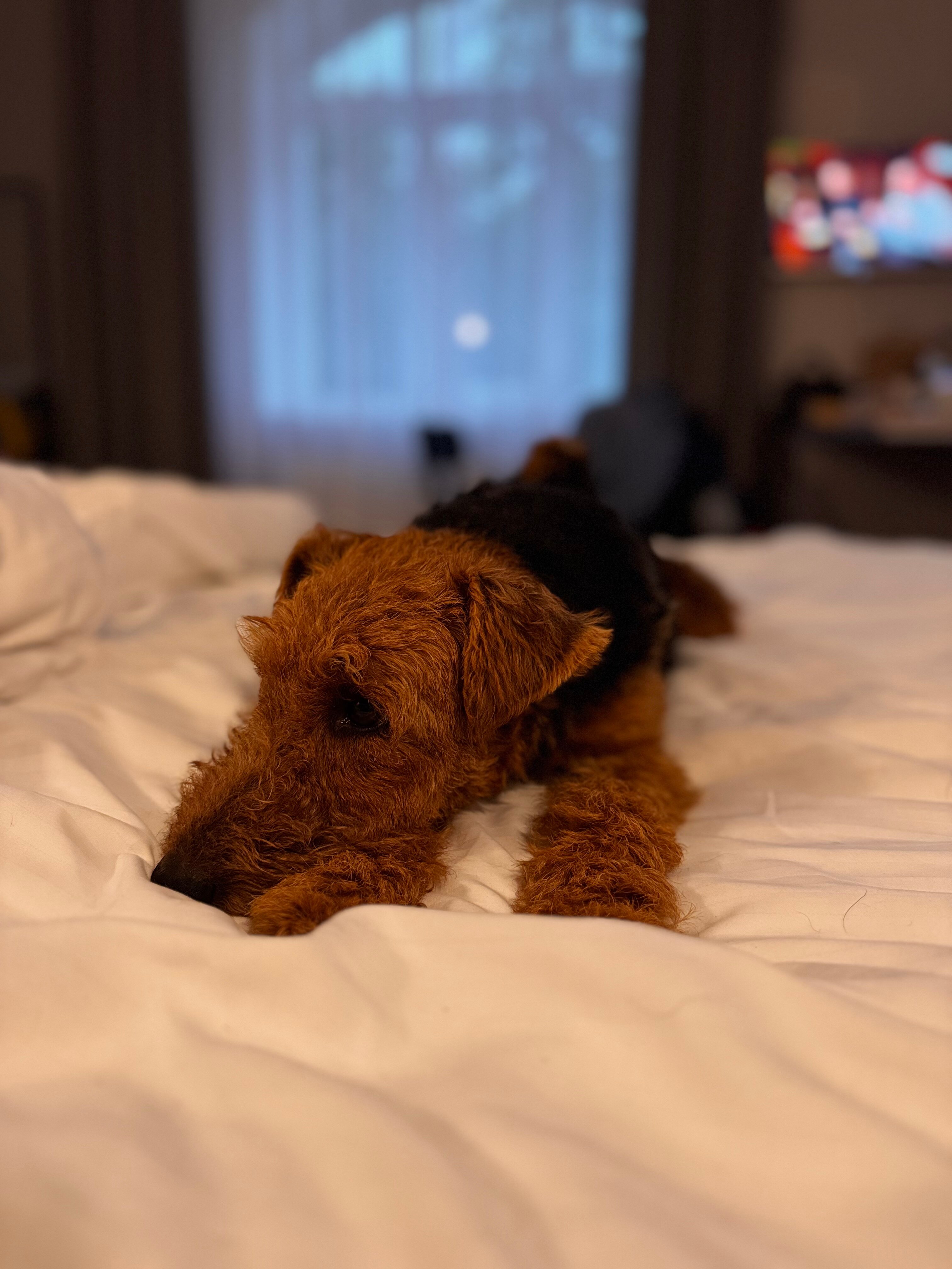 Фото Лес Георга