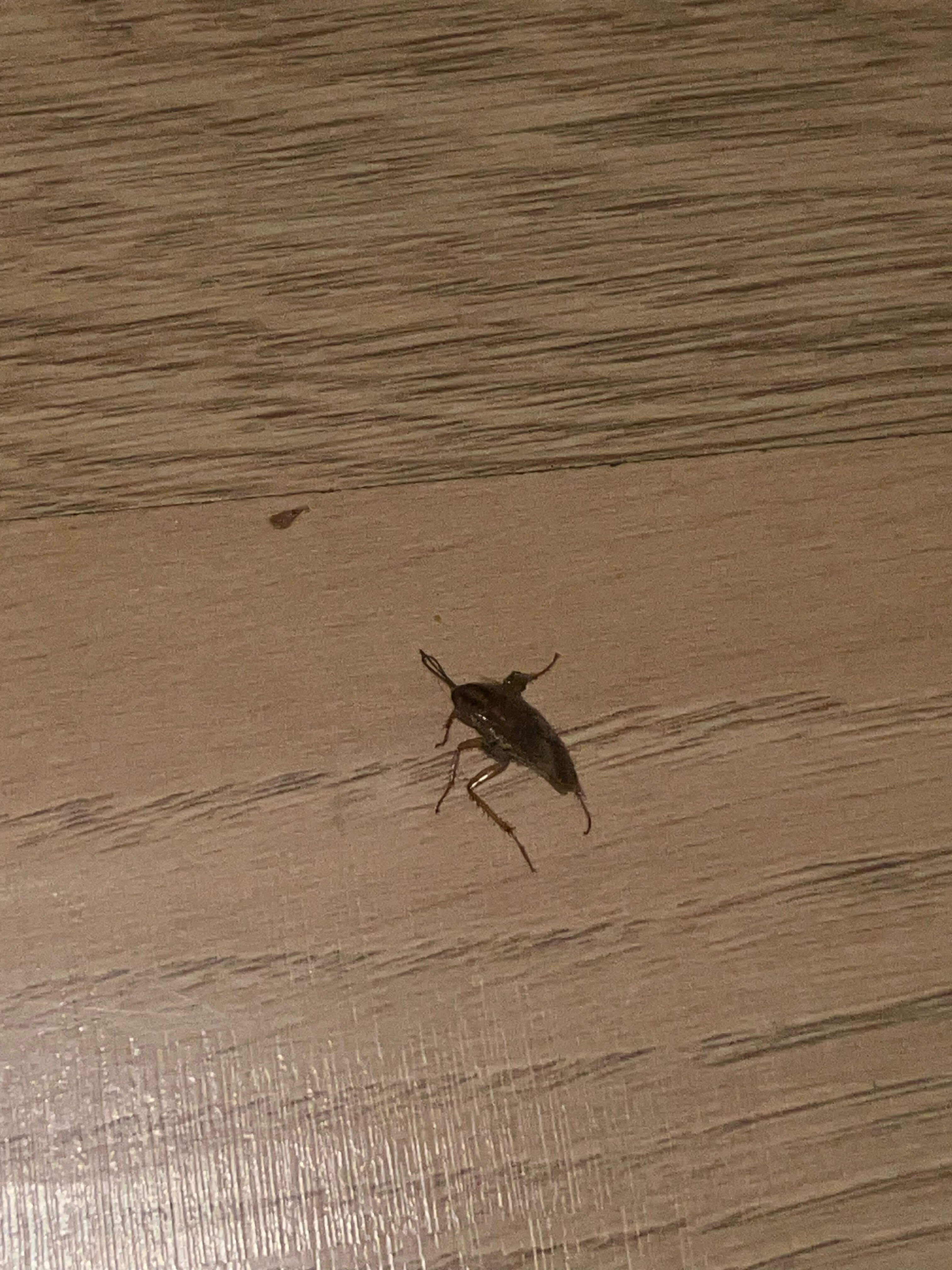 Фото Центральная