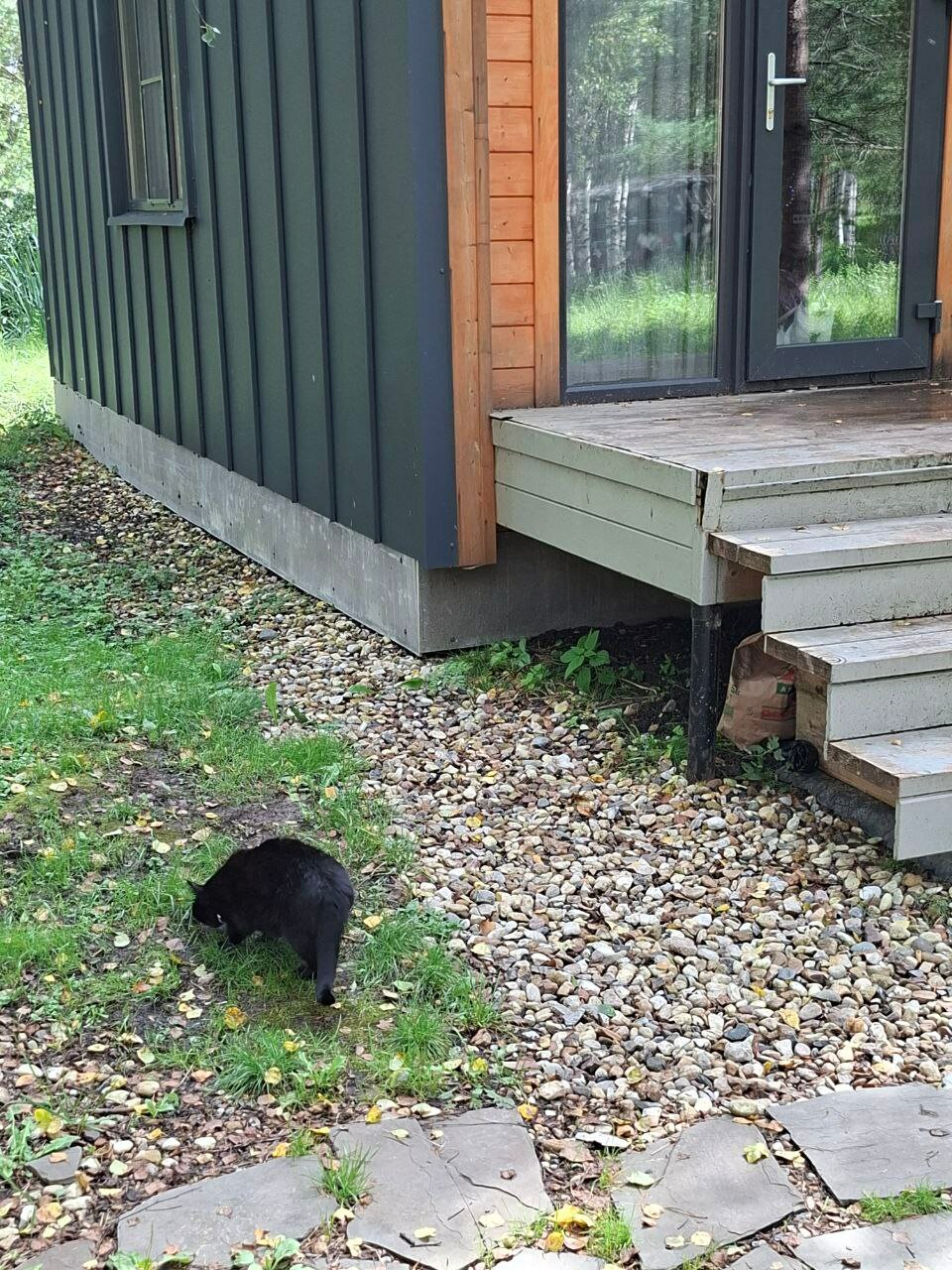 Фото Заповедник впечатлений