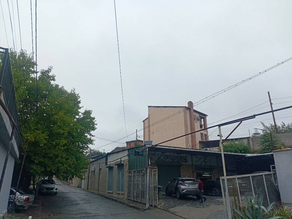 Фото Золотая линия