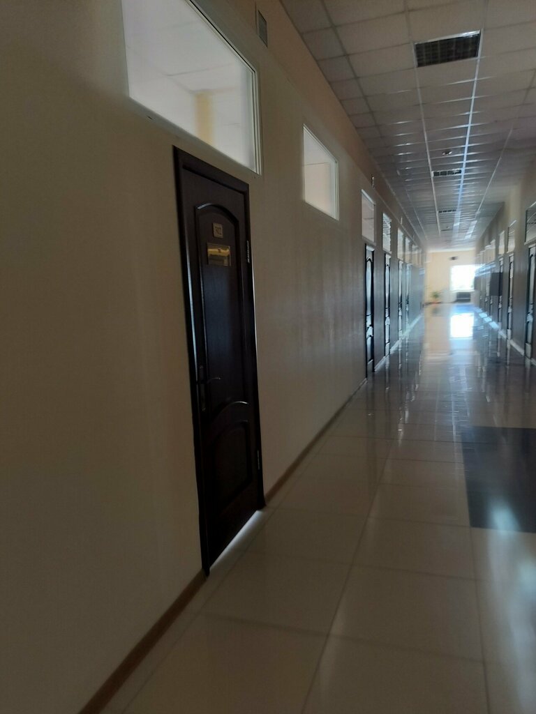 Software companies Ziz Inc — Digital, Kostanai, photo