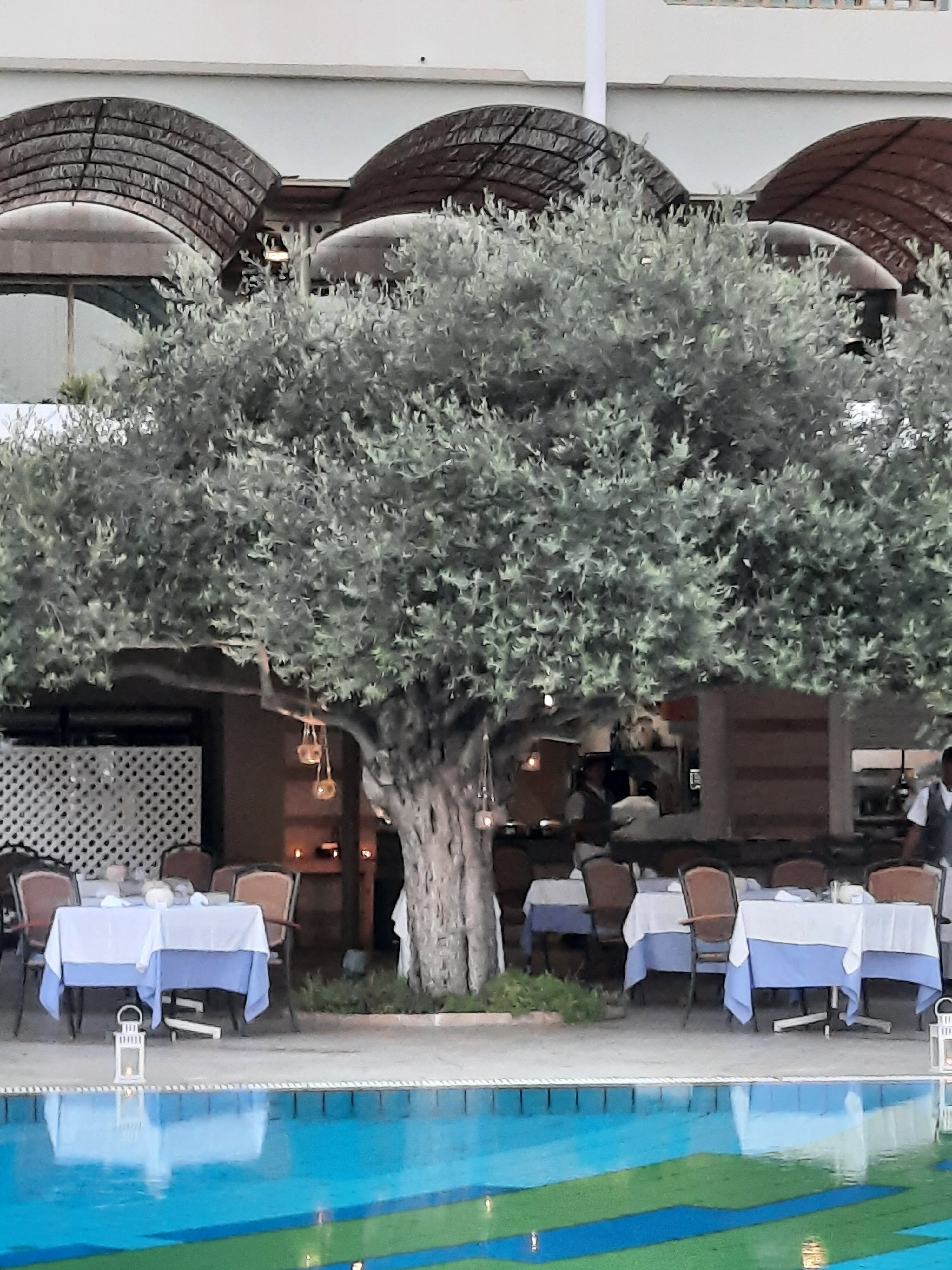 Фото Constantinou Bros Athena Royal Beach Hotel