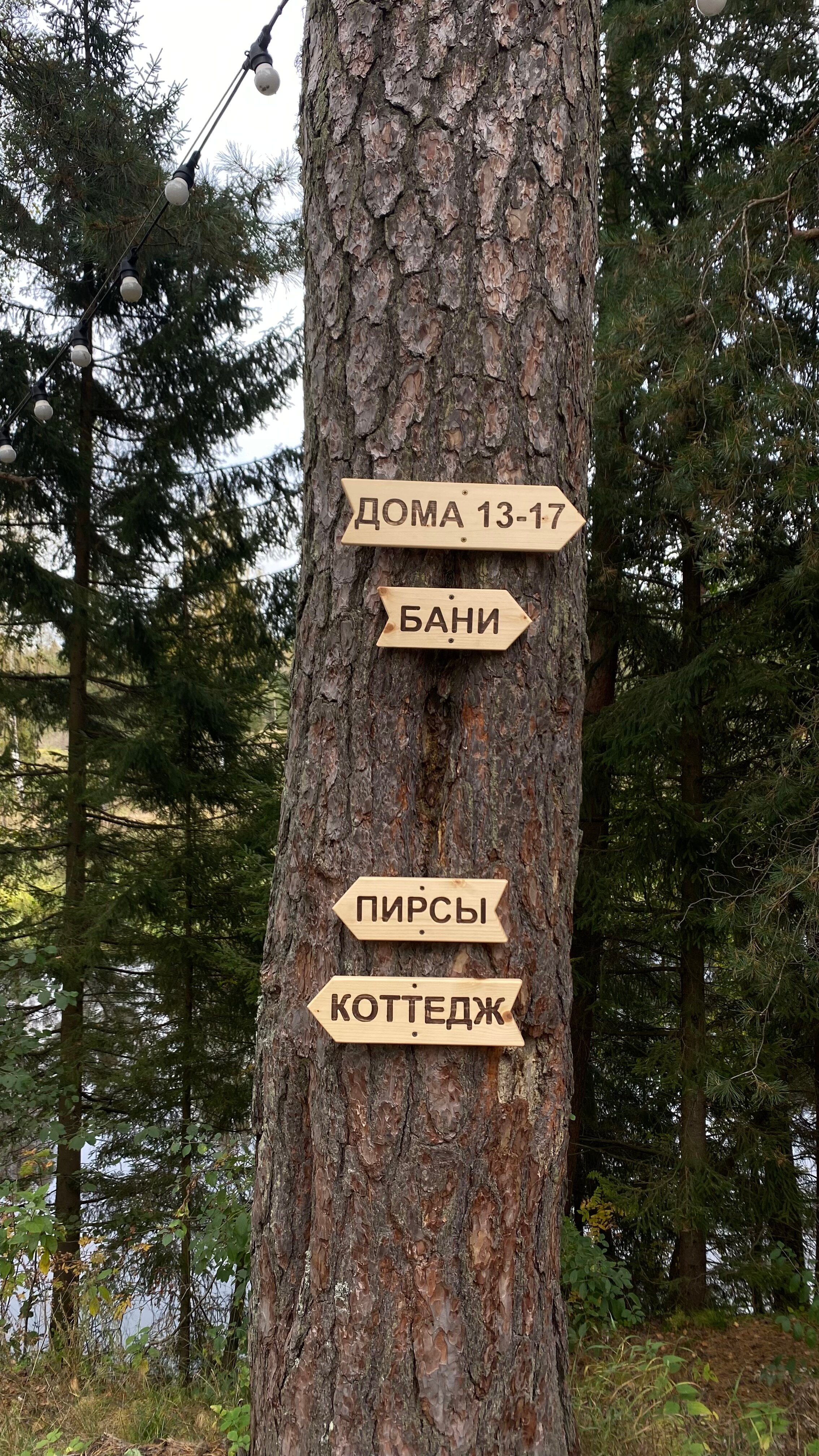 Фото Орша Ривер Клаб