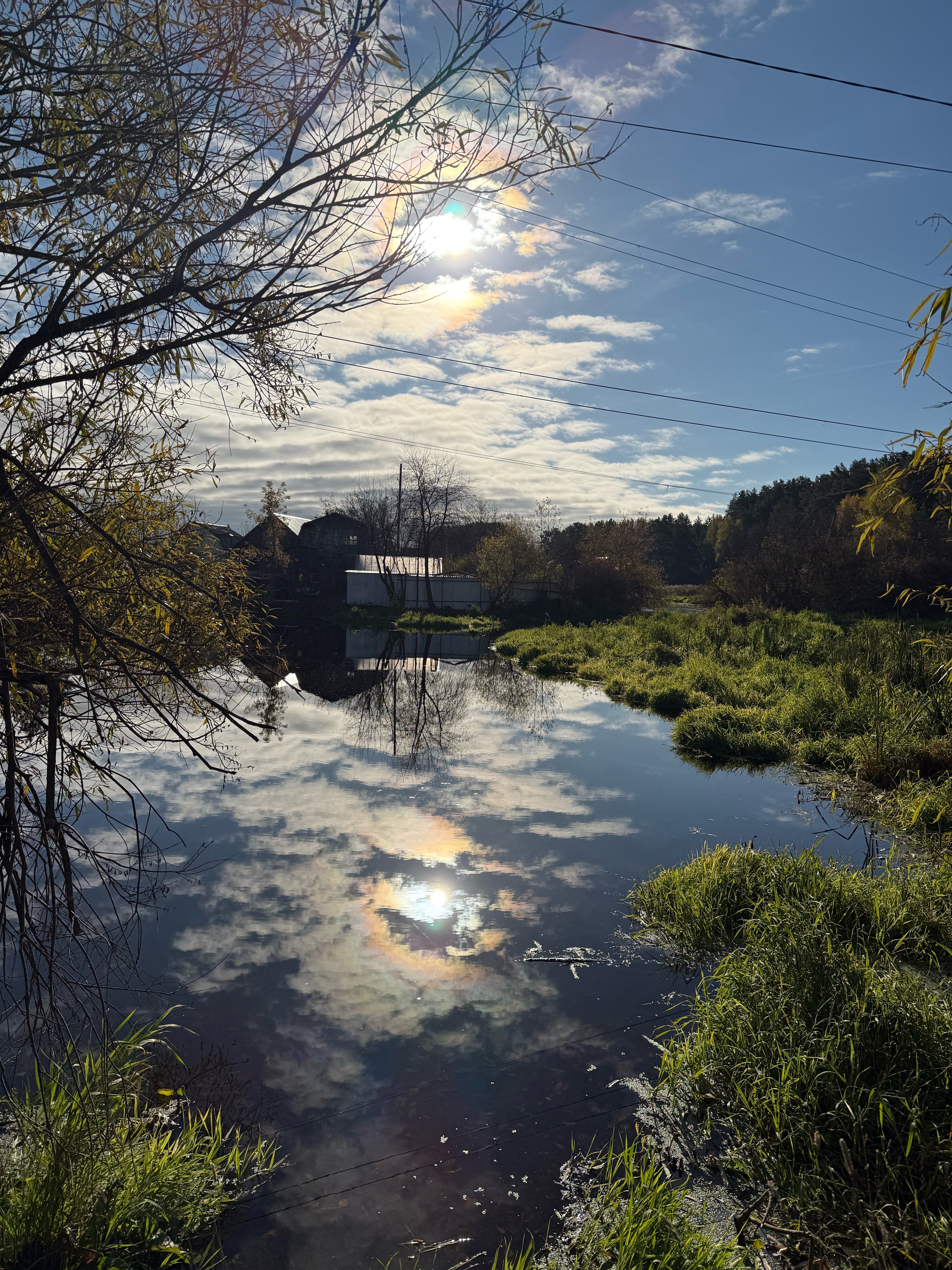 Фото Лесная поляна