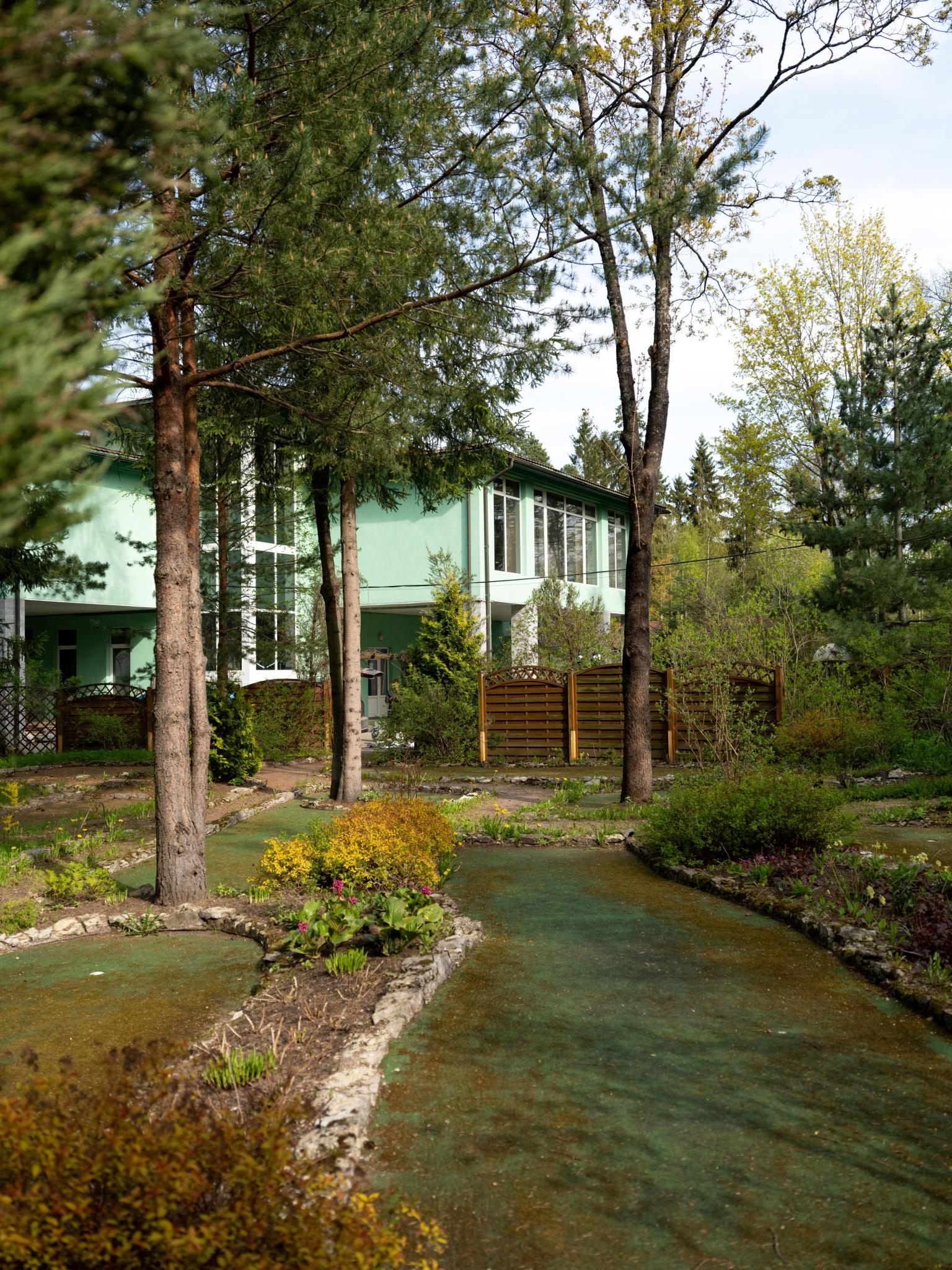 Фото Forest Relax