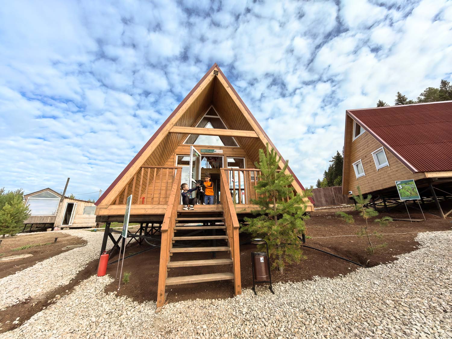 Фото Елки Иголки