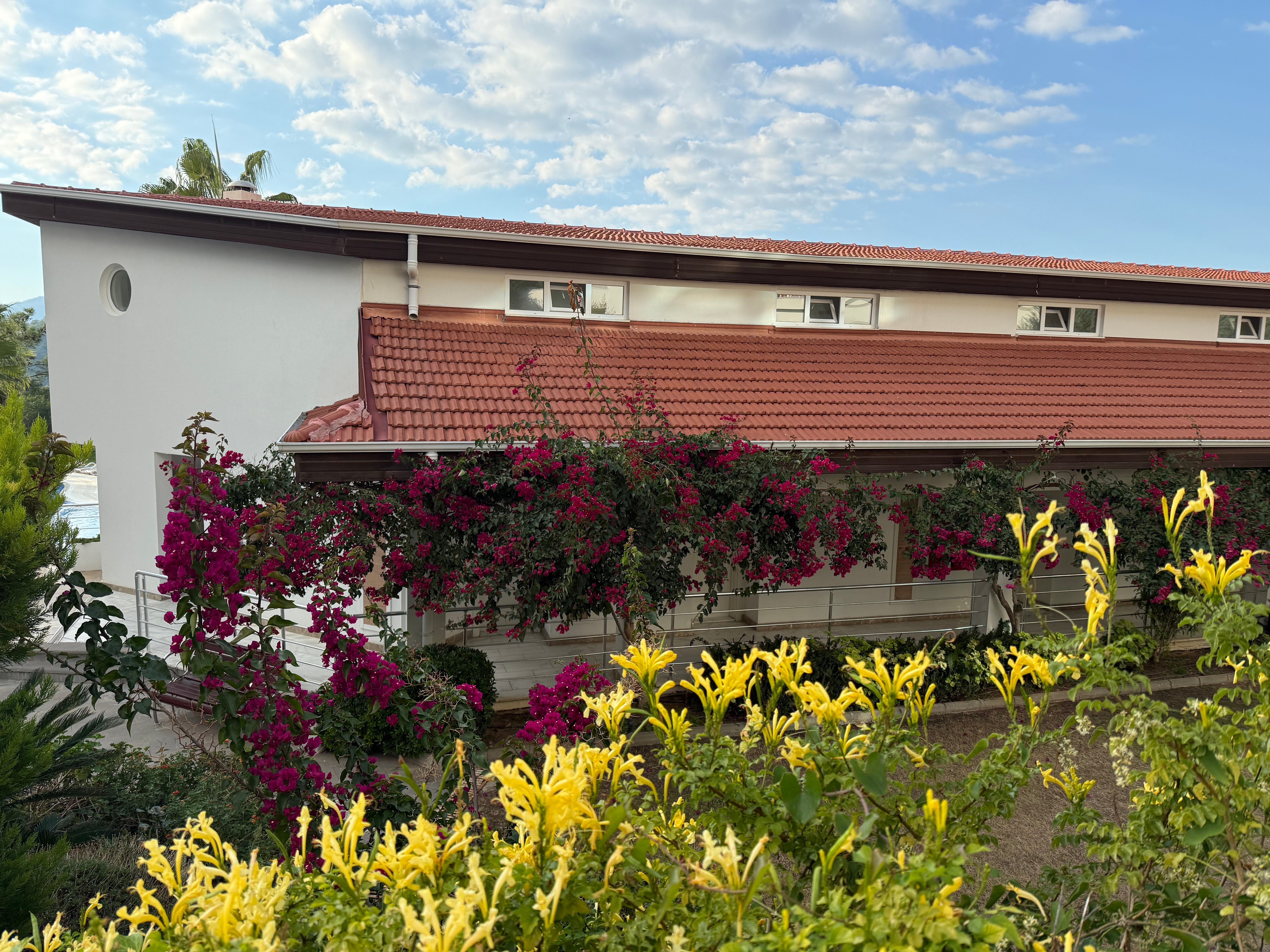 Фото Garcia Resort & Spa