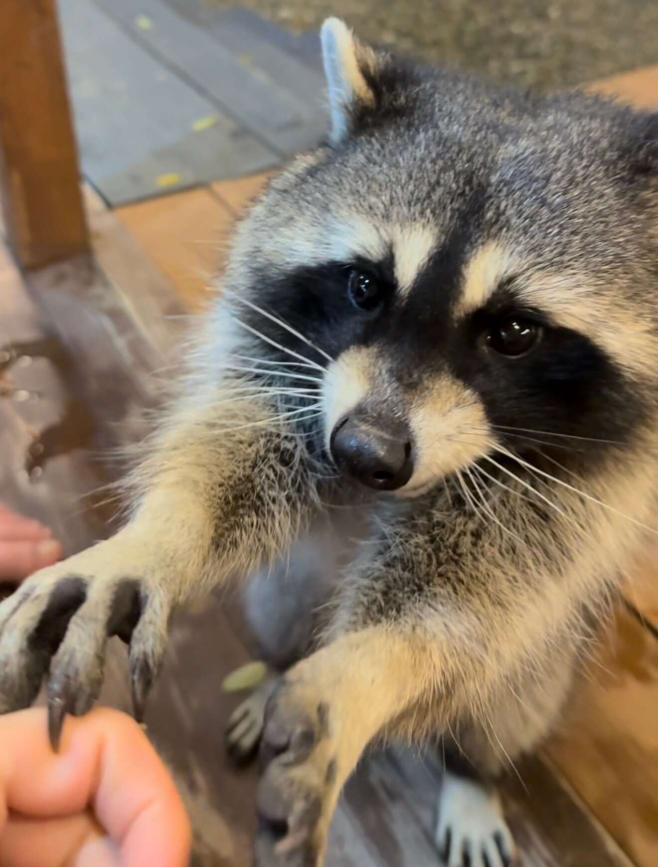 Фото Горные просторы