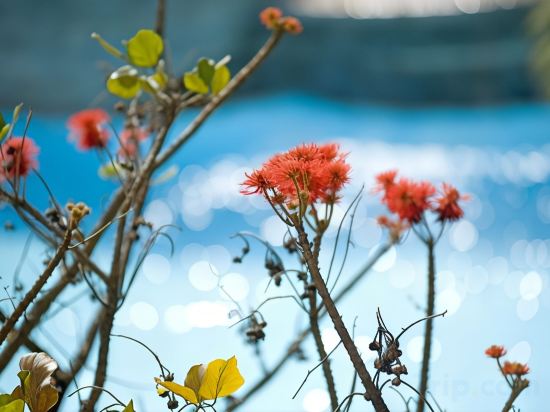 Фото Kigali Serena Hotel