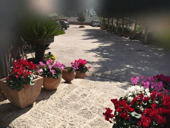 Фото Отель Dinasty