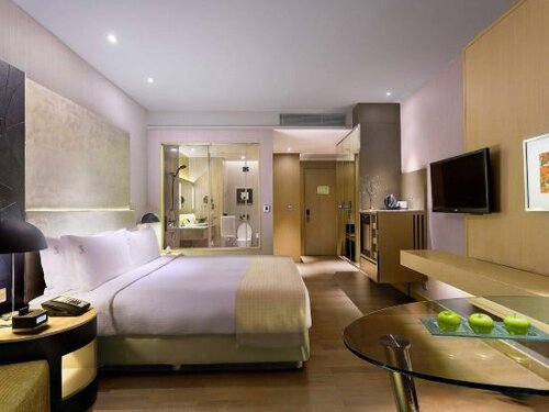 Гостиница ibis New Delhi Aerocity в Дели