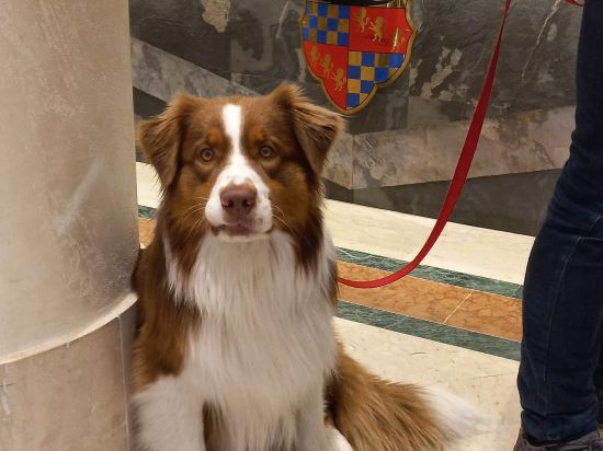 Фото Grand Hotel Adriatico