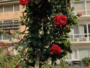 Гостиница Demei Boutique Hotel