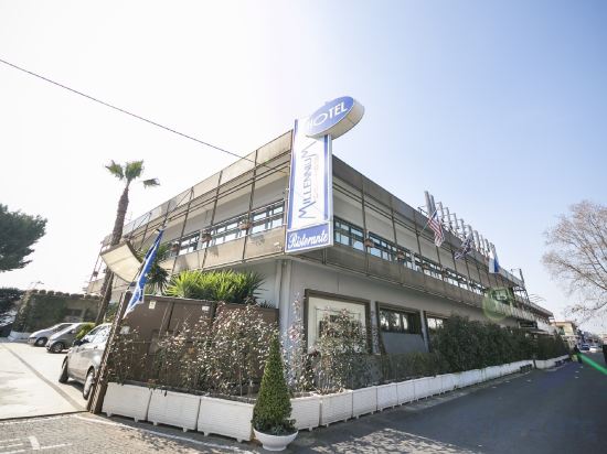 Фото Millennium Gold