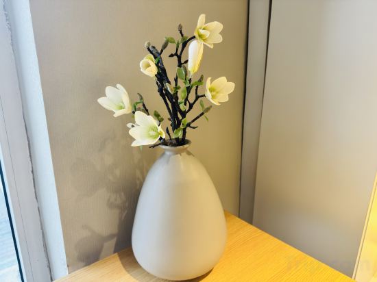 Фото 171277870577