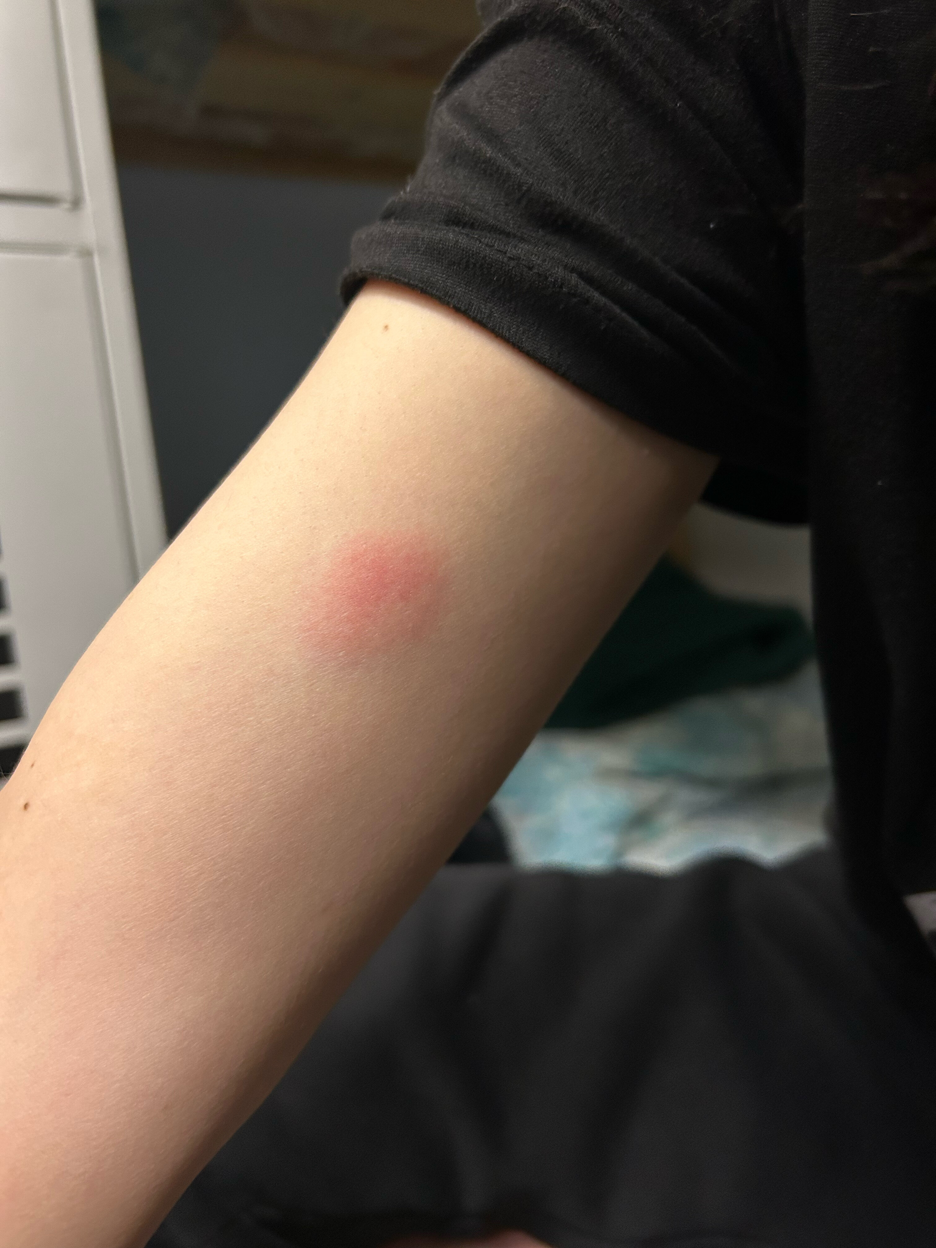 Фото Garden 22/2