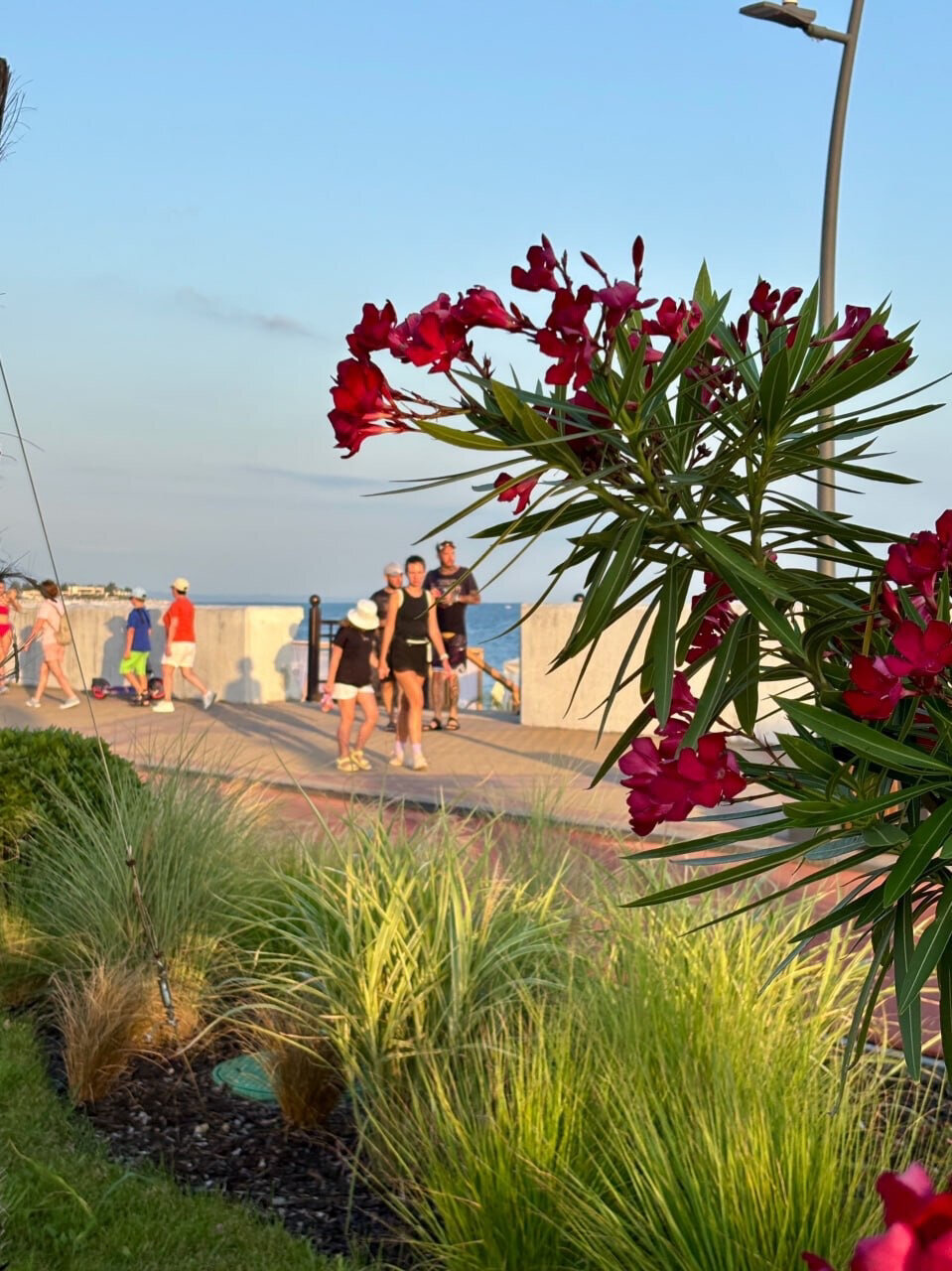 Фото Дачный квартал