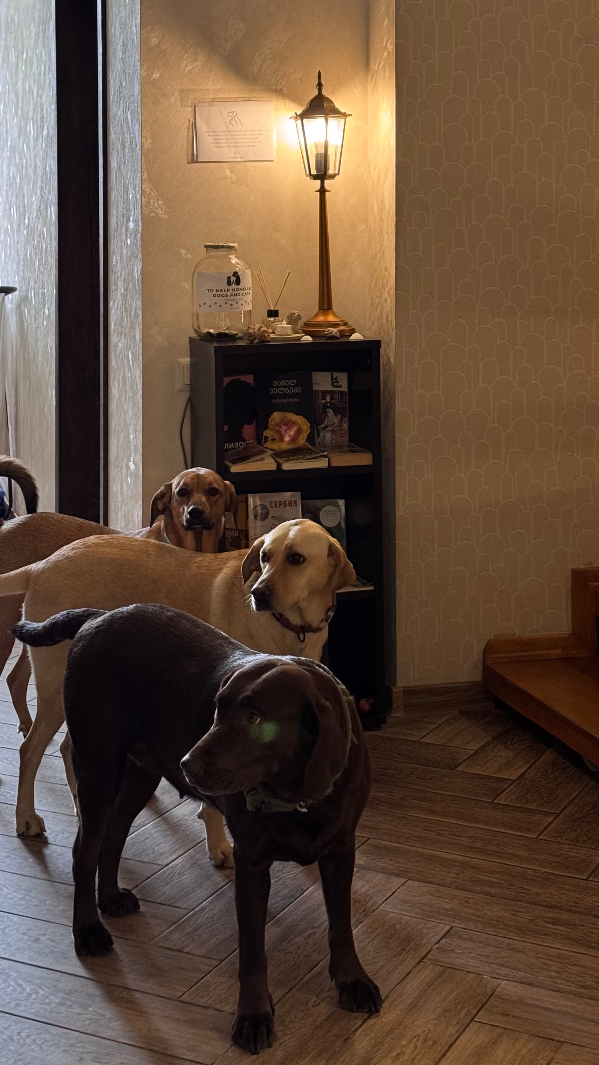 Фото Tbilisi Tales