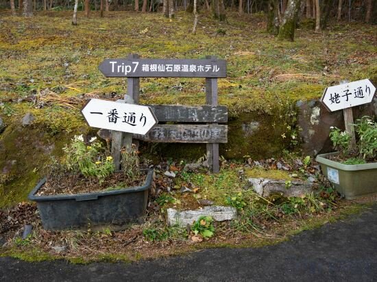 Фото Trip7 Hakone Sengokuhara Onsen Hotel