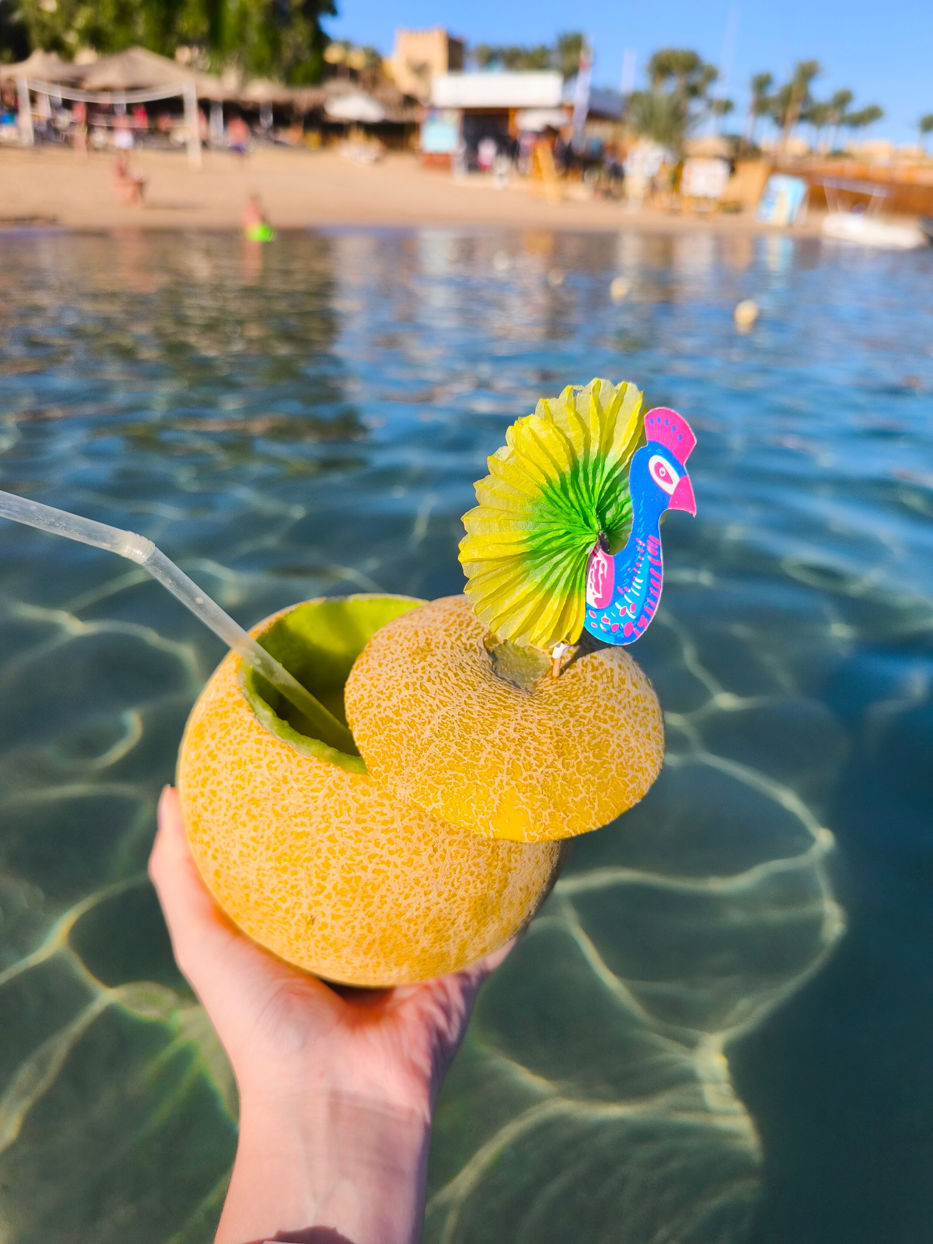 Фото Prima Life Makadi