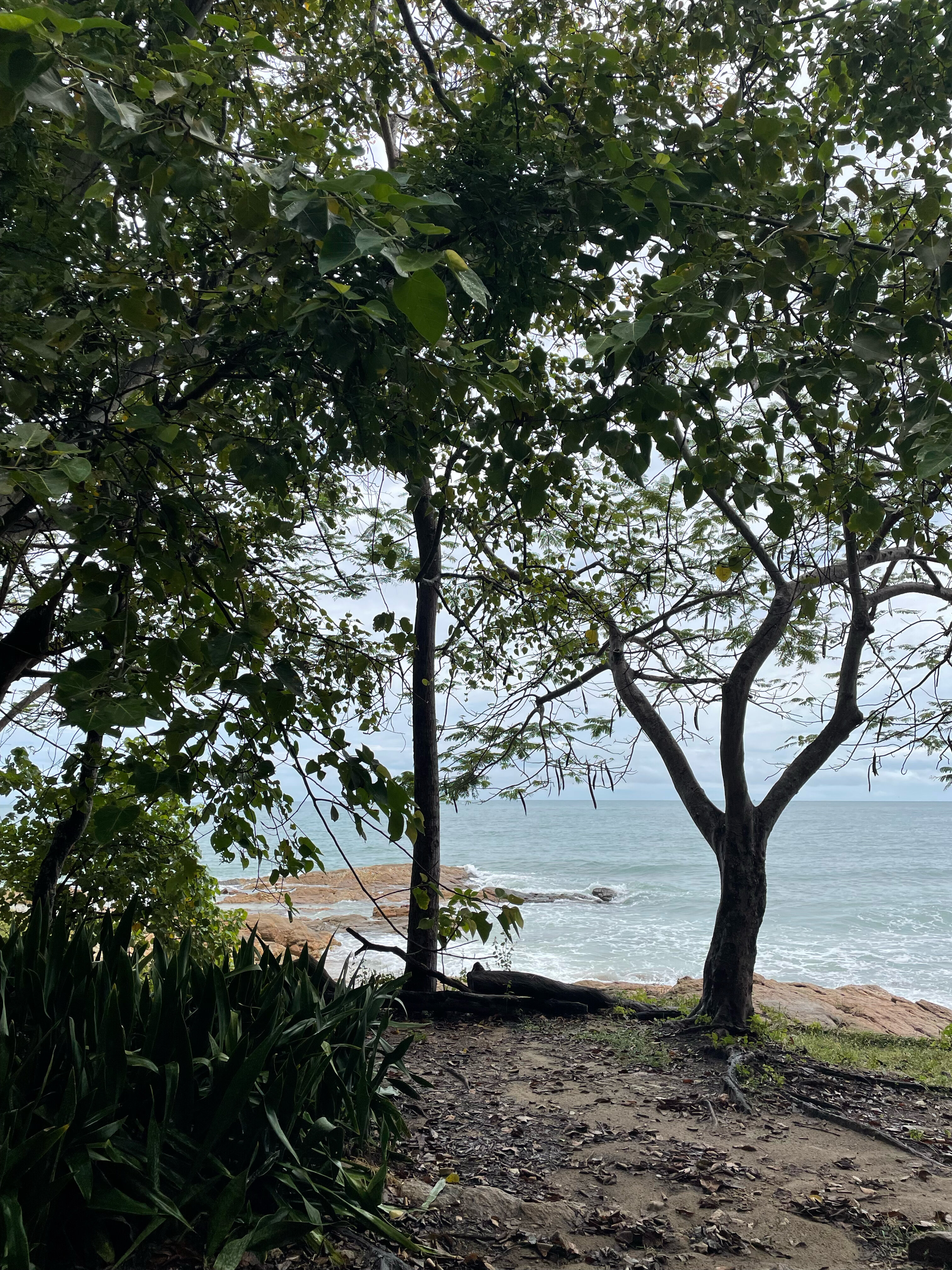 Фото Tok's Little Hut