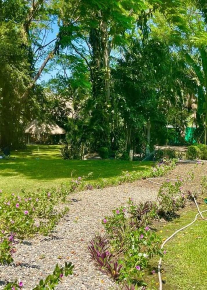 Фото Metrotel Express