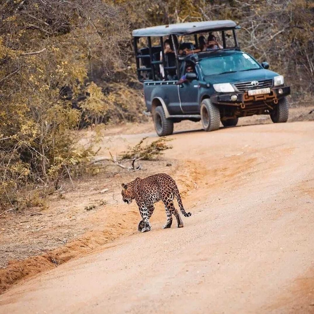Фото Mirissa Beach Inn