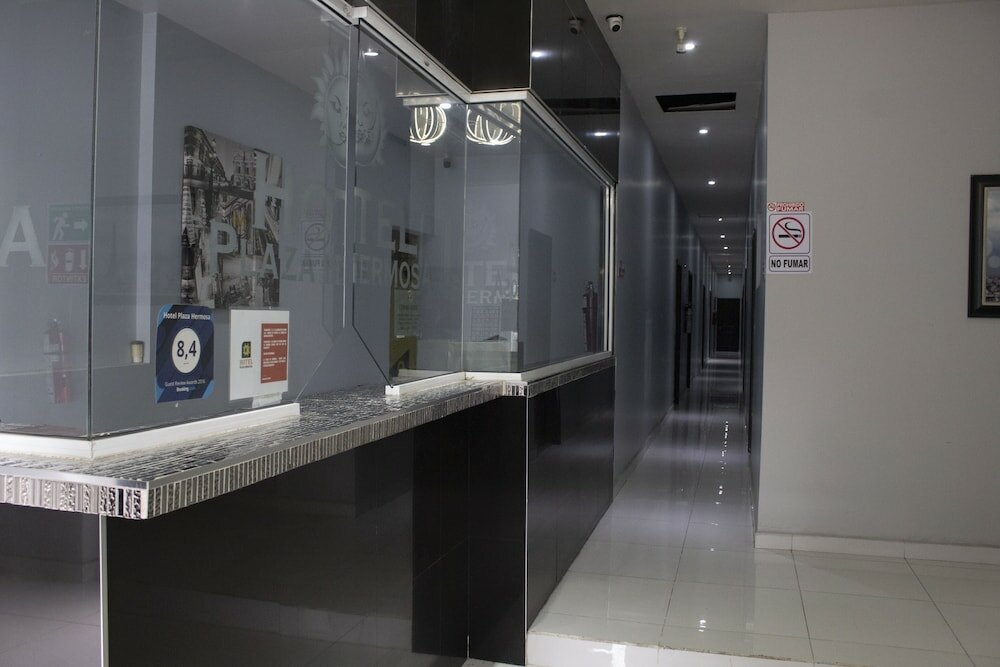 Фото Hotel Plaza Hermosa