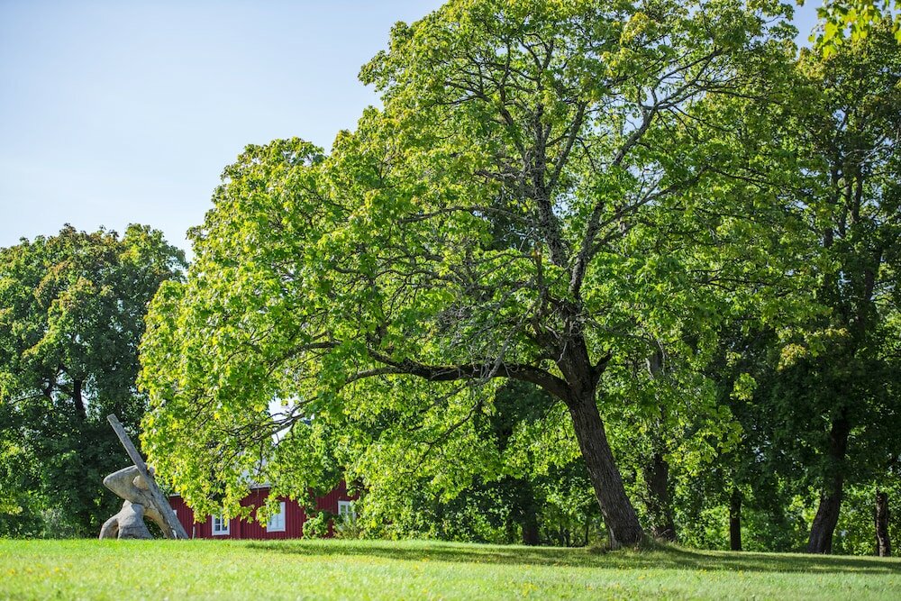 Фото Västerbacken Hotell och Konferens