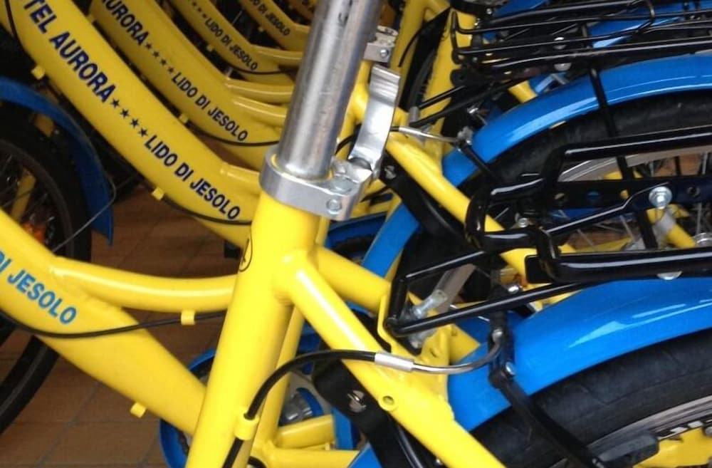 Фото Hotel Aurora