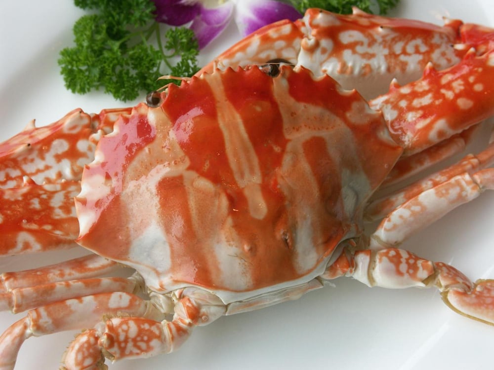 Фото Jinling Plaza Changzhou