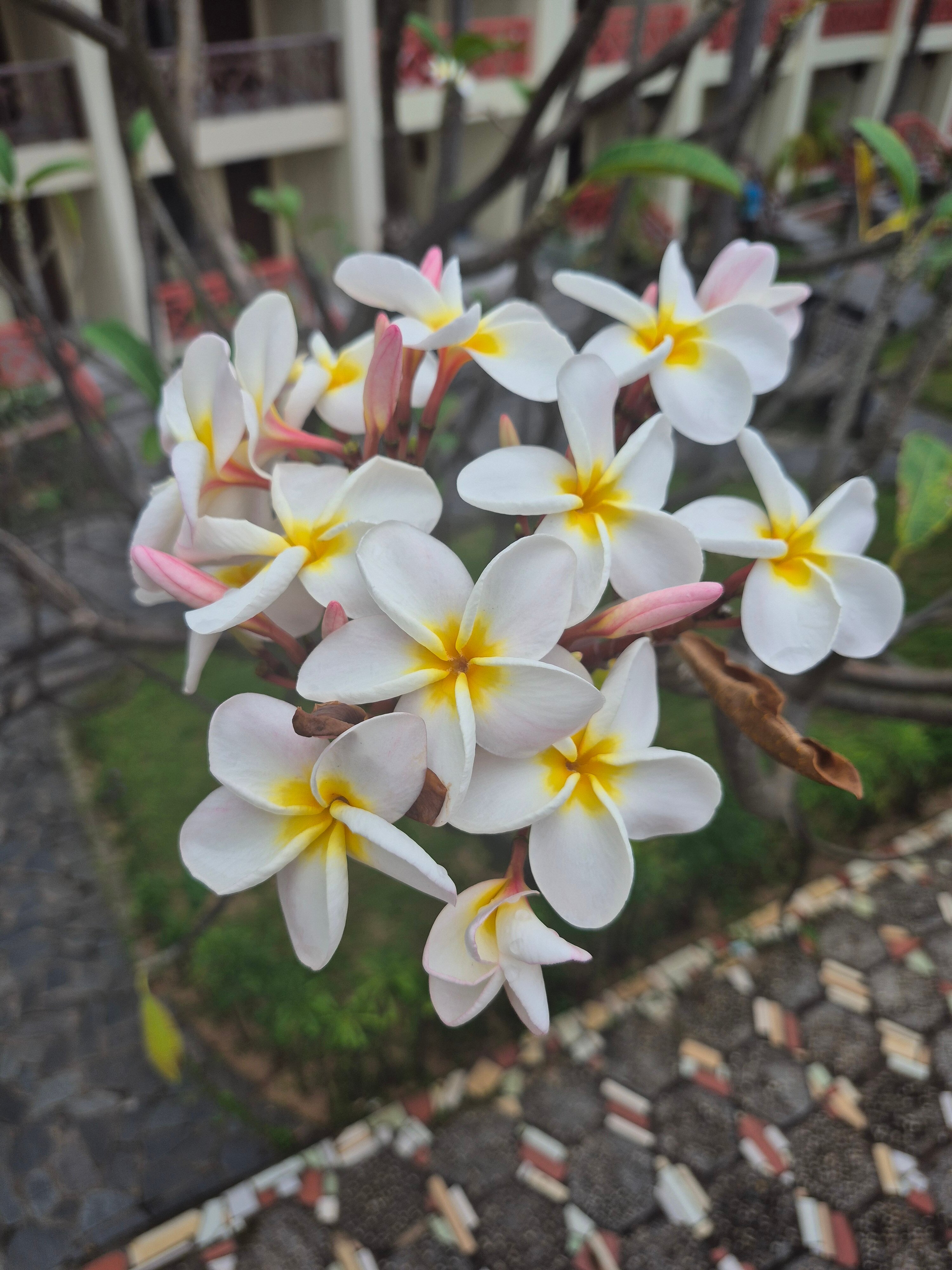 Фото Ocean Star Resort