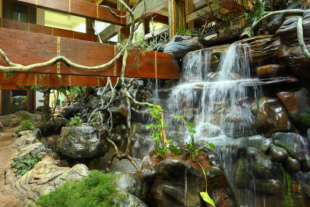 Фото Chandys Windy Woods