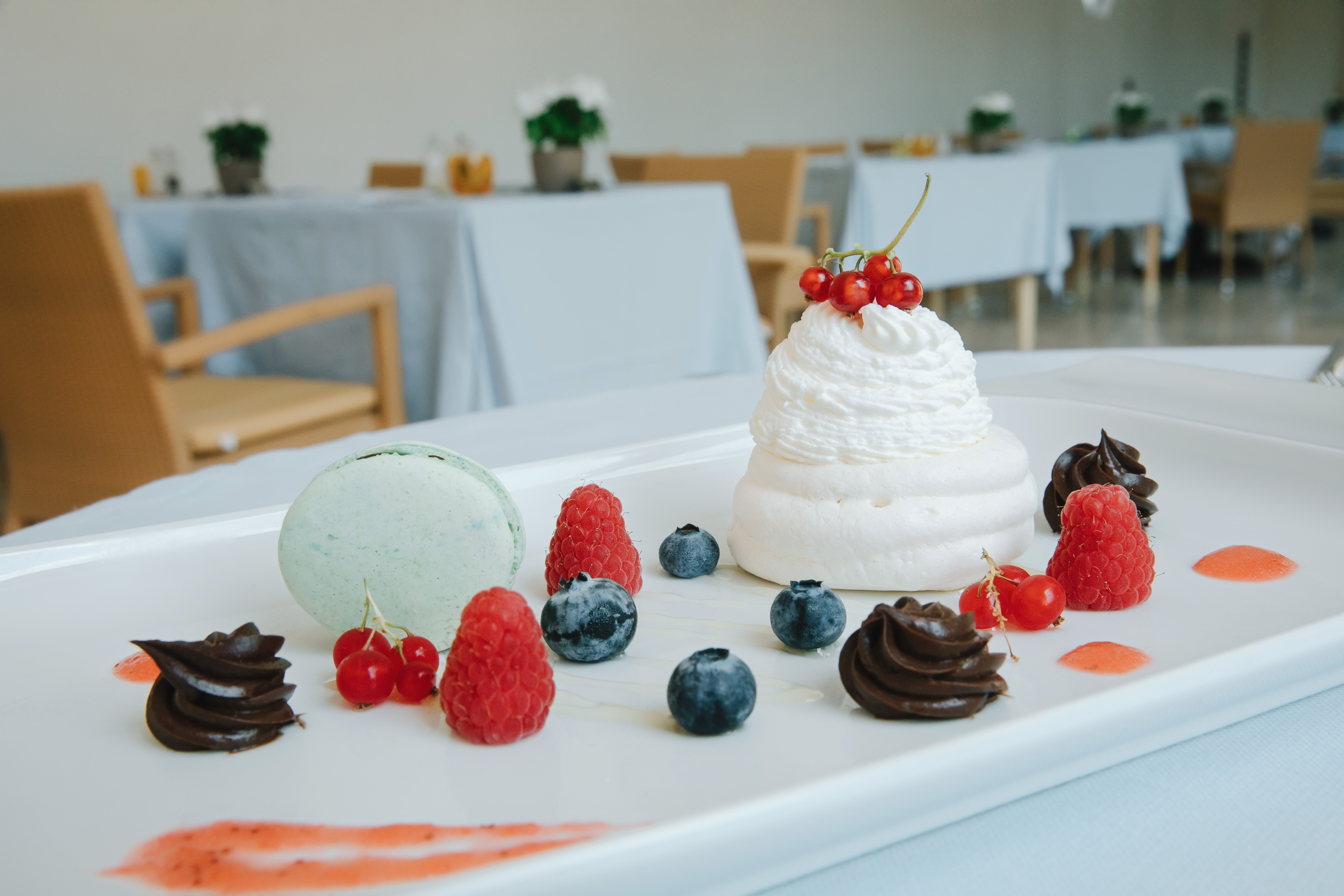 Фото President Terme Hotel