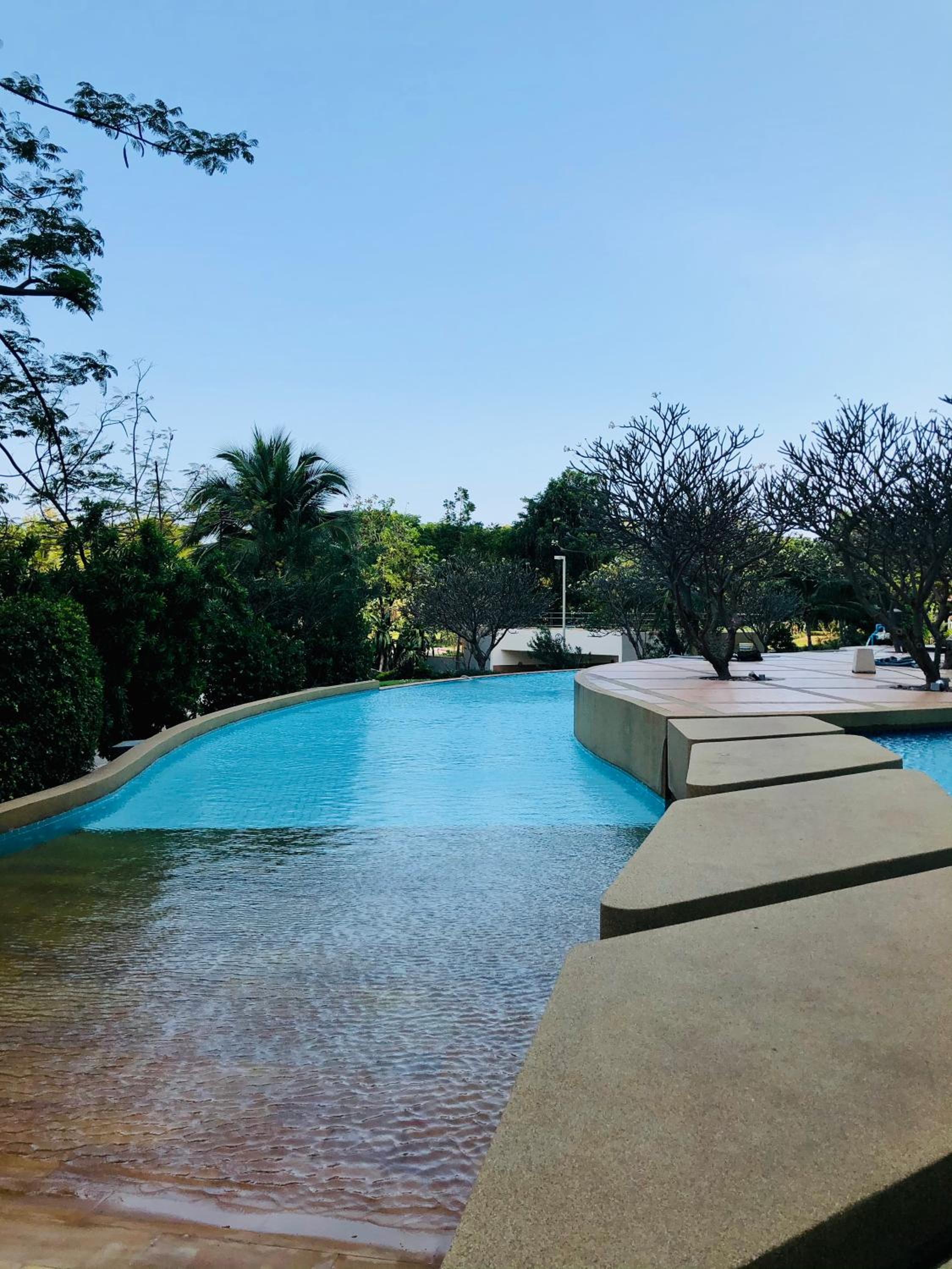 Фото 50624295898