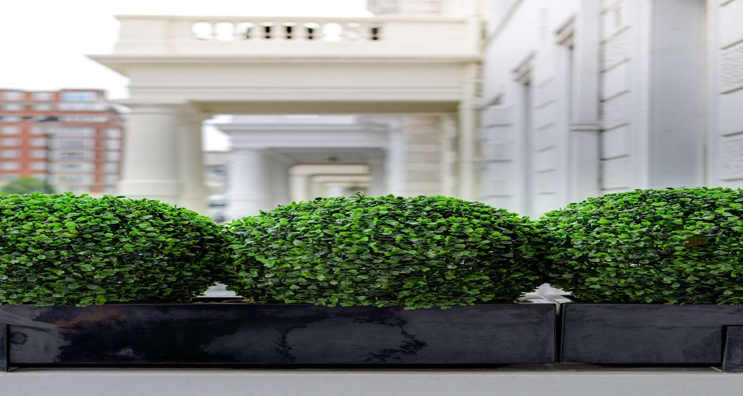 Фото Best Western Mornington Hotel London Hyde Park