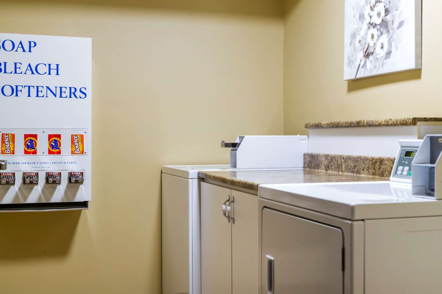 Фото Best Western Plus Grand-Sault Hotel & Suites