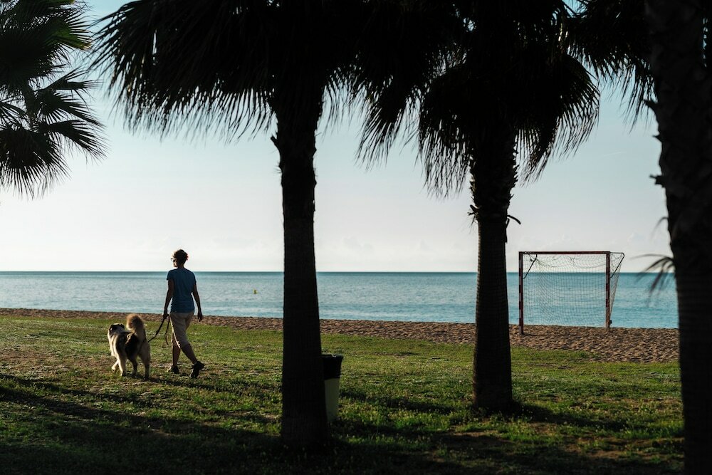 Фото Camping Bellsol