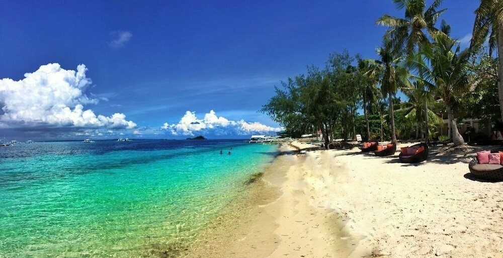 Hotel Ocean Vida Beach and Dive Resort, Province of Cebu, photo