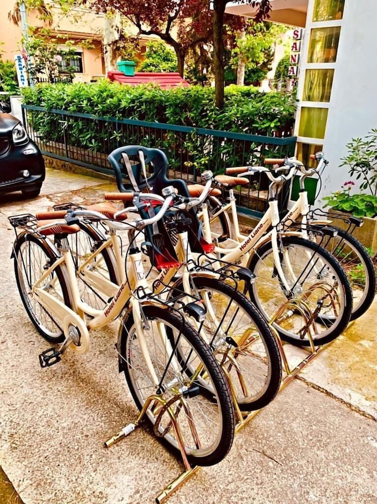 Фото Hotel Liane