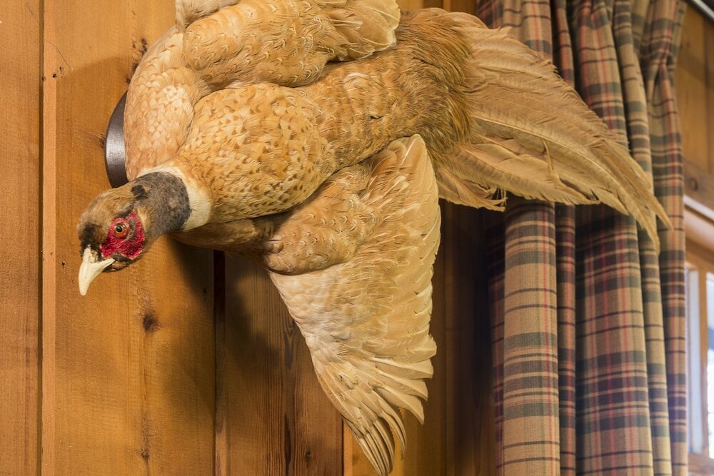 Фото Ayres Lodge Alpine