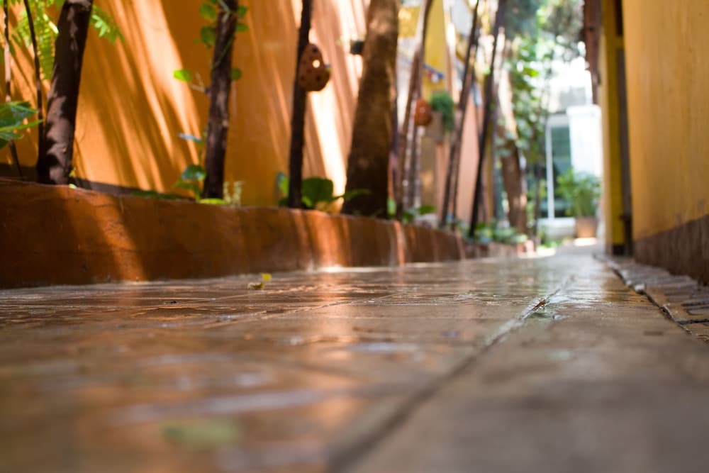 Фото Changmoi House