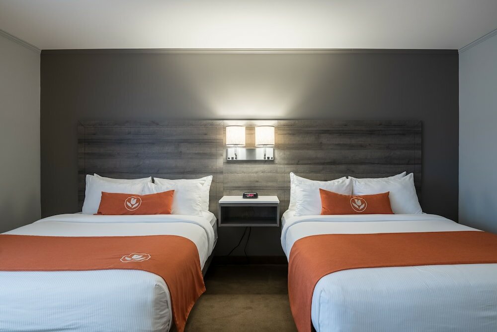 Фото Amsterdam Inn & Suites Moncton