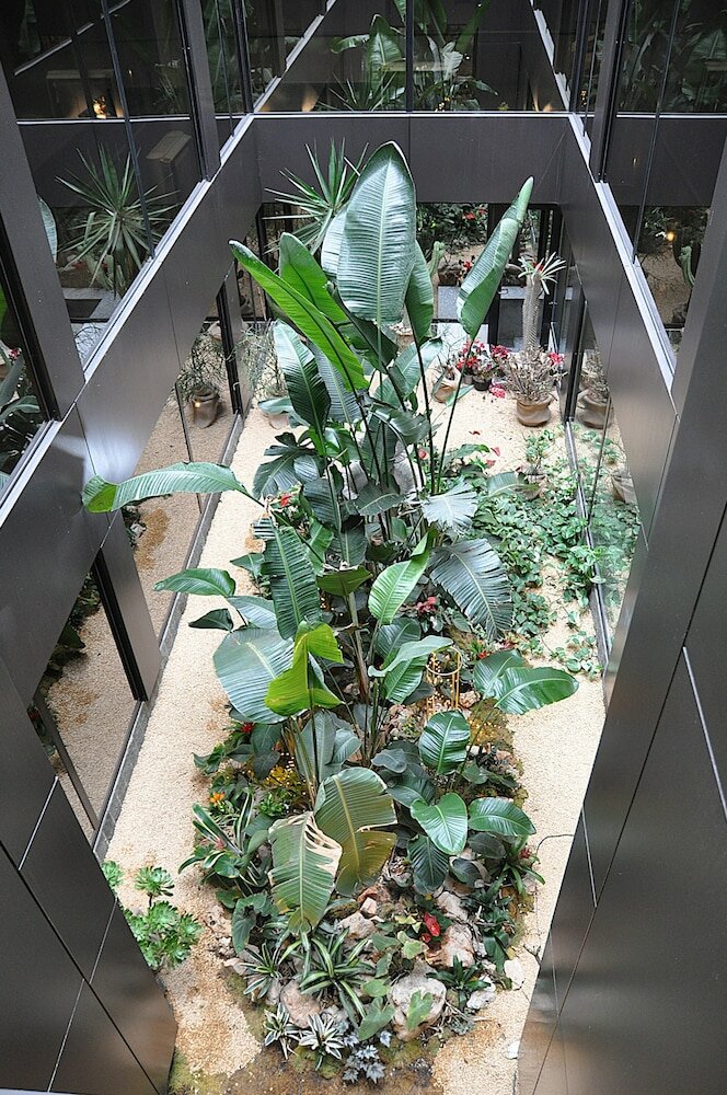 Фото Hotel Comtur